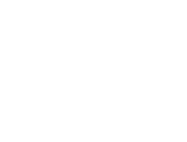 Lisa Little Consulting